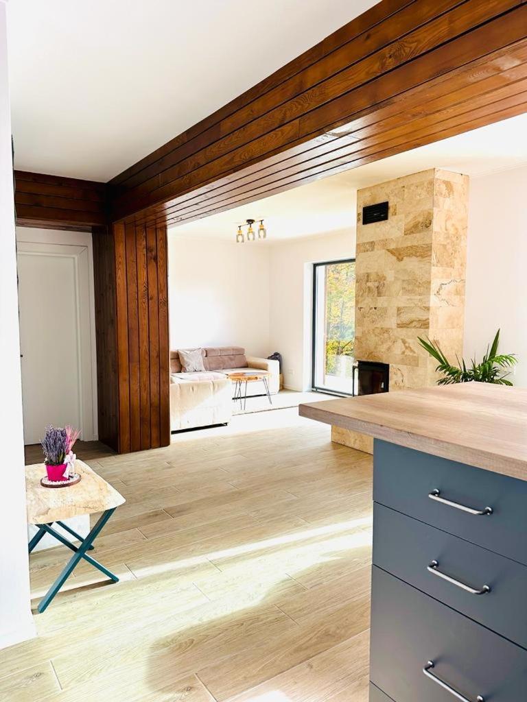 Stone House Sinaiaヴィラ エクステリア 写真